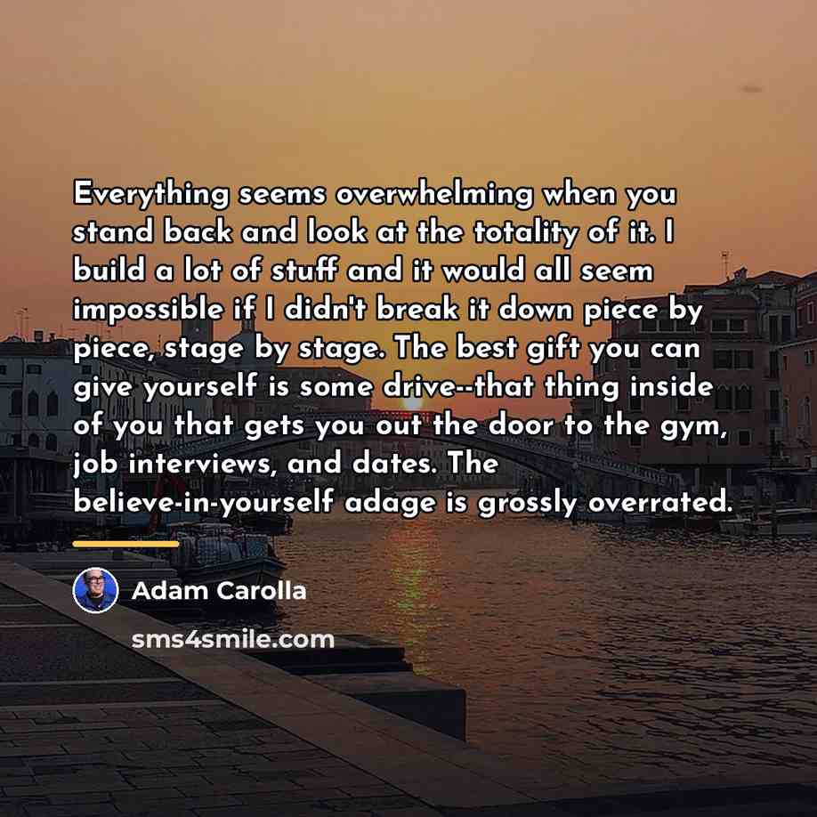 “Everything seems overwhelming when you stand back and look at…” quote by Adam Carolla