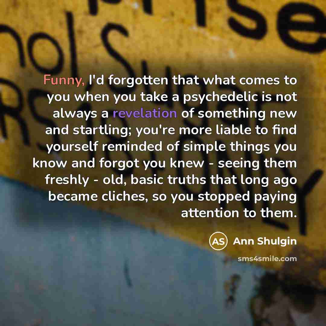 “Funny, I'd forgotten that what comes to you when you…” quote by Ann Shulgin