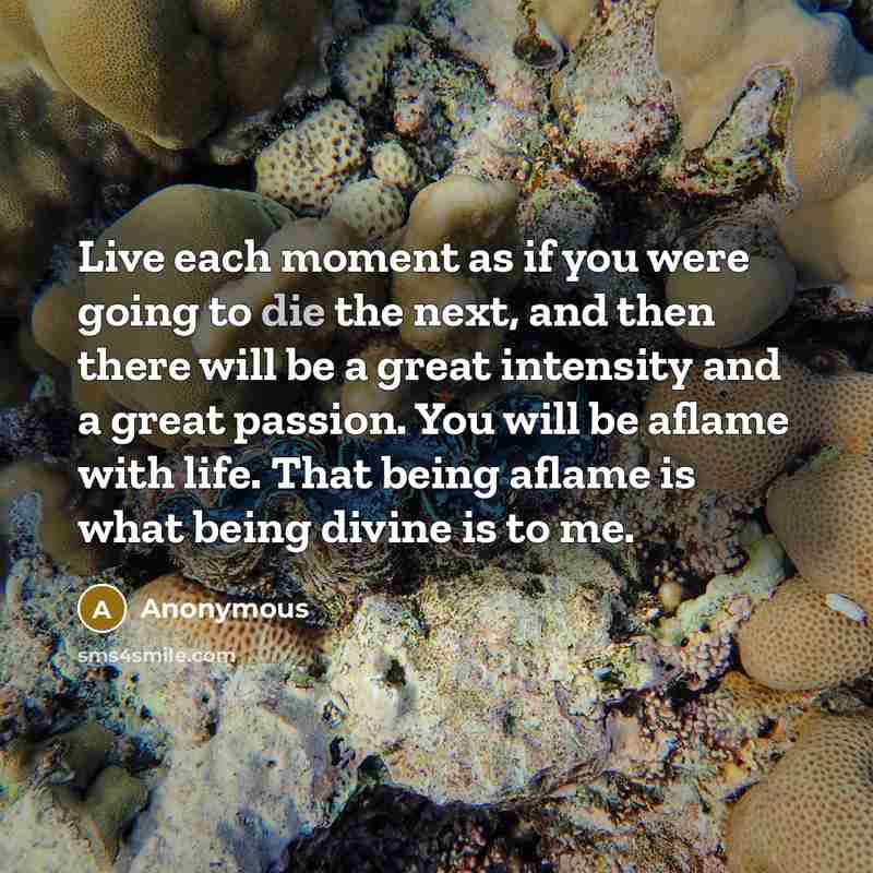 “Live each moment as if you were going to die…” quote by Anonymous