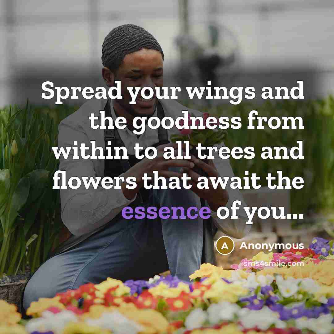 “Spread your wings and the goodness from within to all…” quote by Anonymous