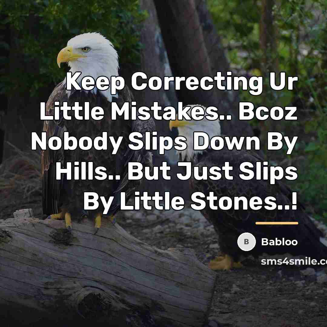 “Keep Correcting Ur Little Mistakes.. Bcoz Nobody Slips Down By…” quote by Babloo