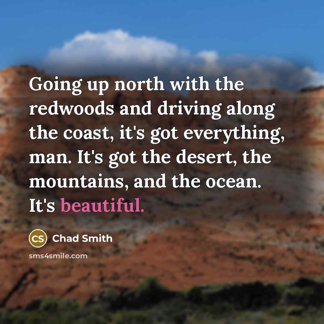 “Going up north with the redwoods and driving along the…” quote by Chad Smith