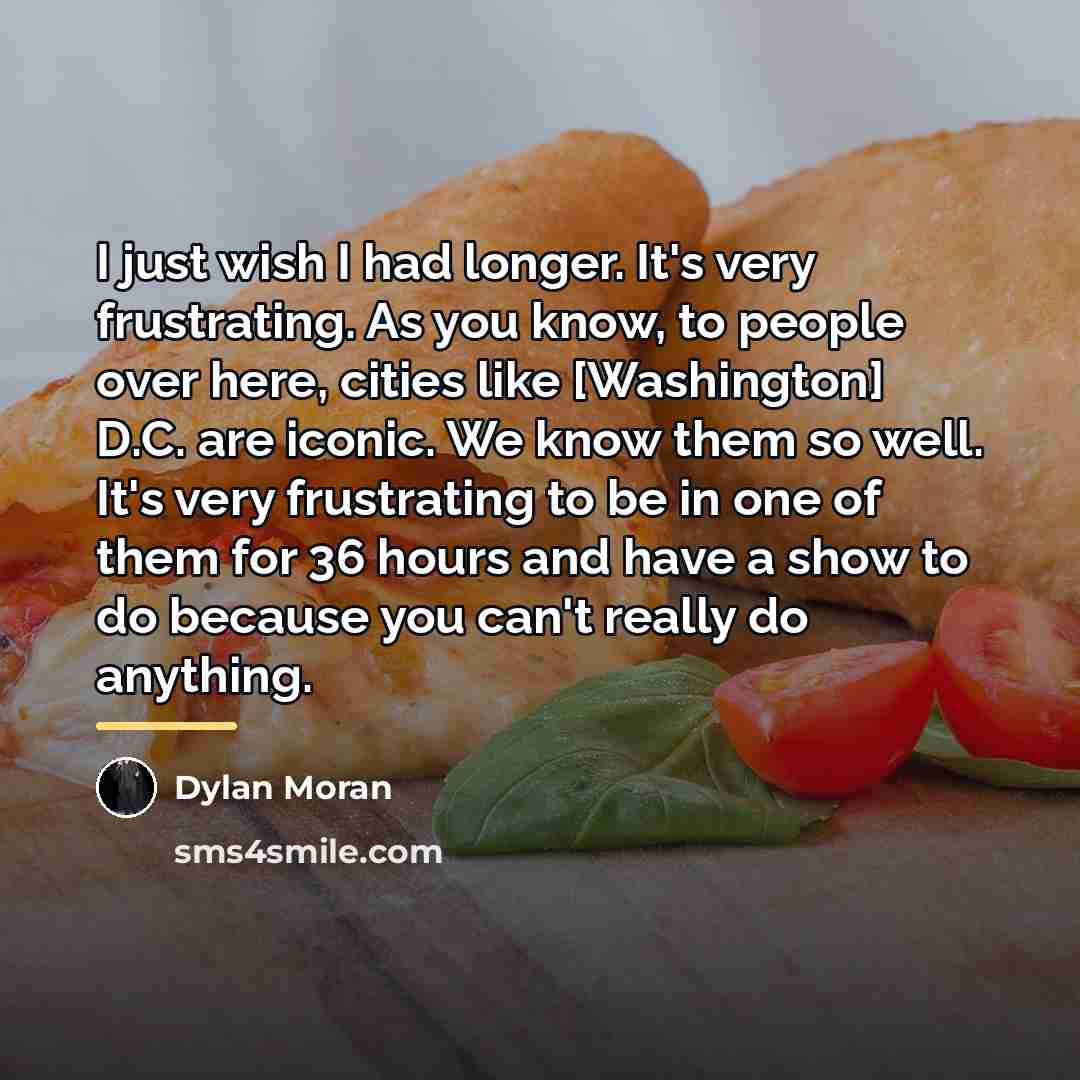 “I just wish I had longer. It's very frustrating. As…” quote by Dylan Moran