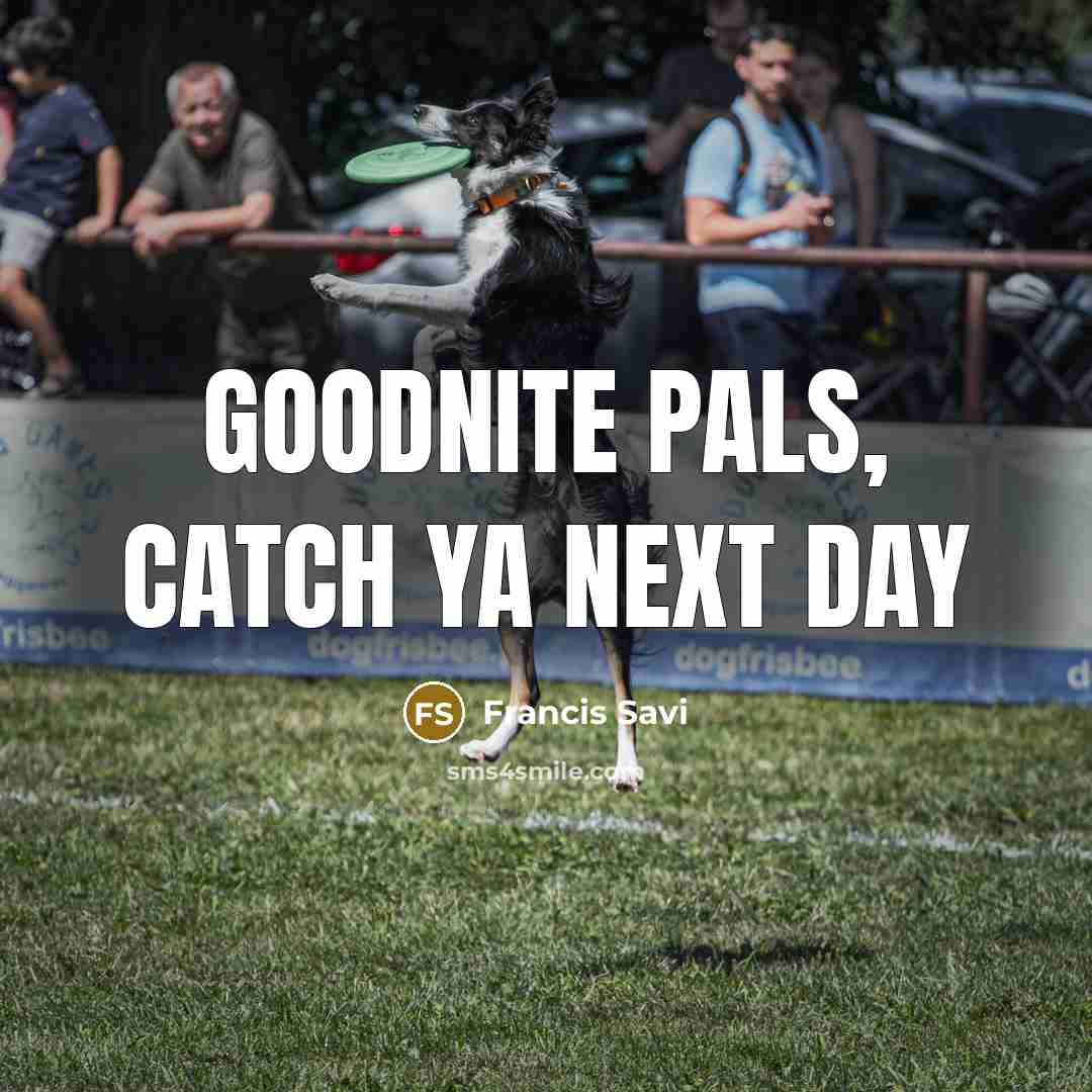 “Goodnite pals, catch ya next day” quote by Francis Savi