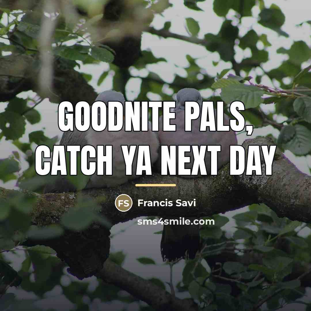 “Goodnite pals, catch ya next day…” quote by Francis Savi
