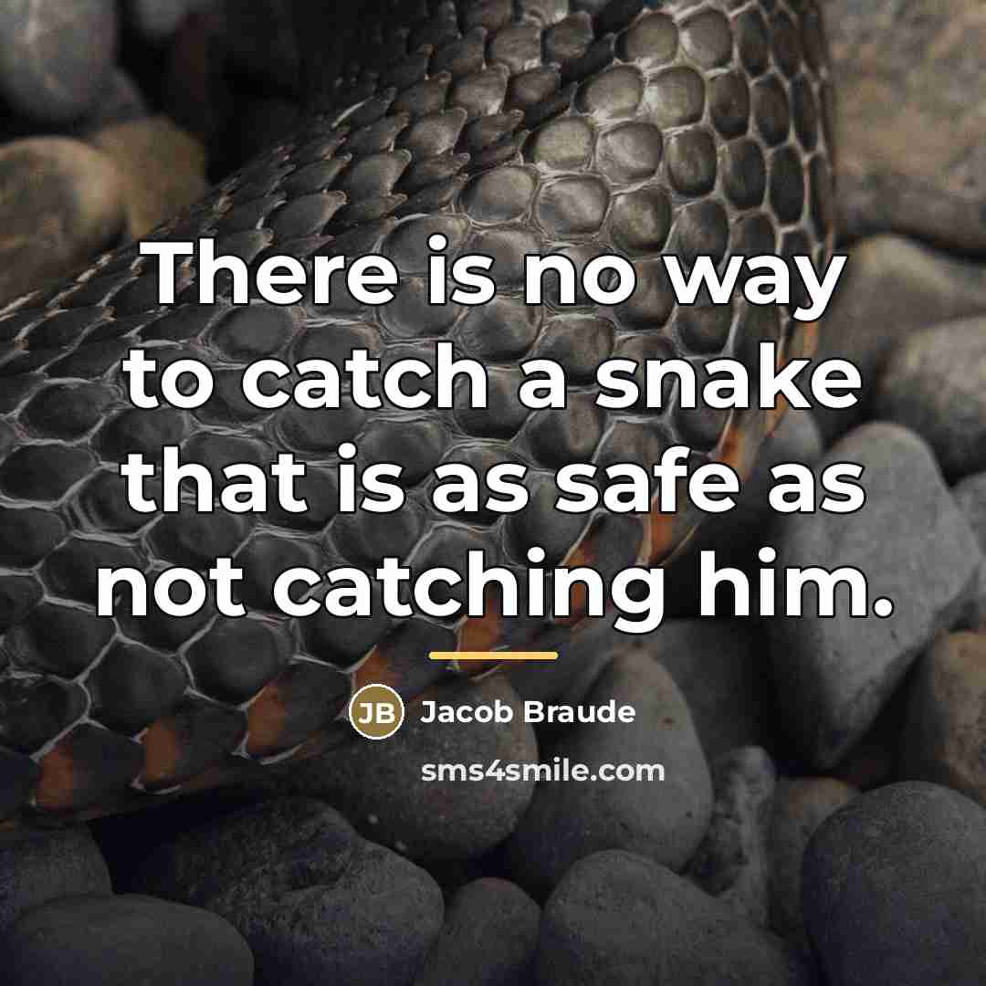 “There is no way to catch a snake that is…” quote by Jacob Braude