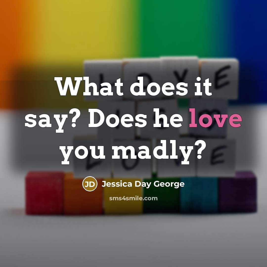 “What does it say? Does he love you madly?…” quote by Jessica Day George