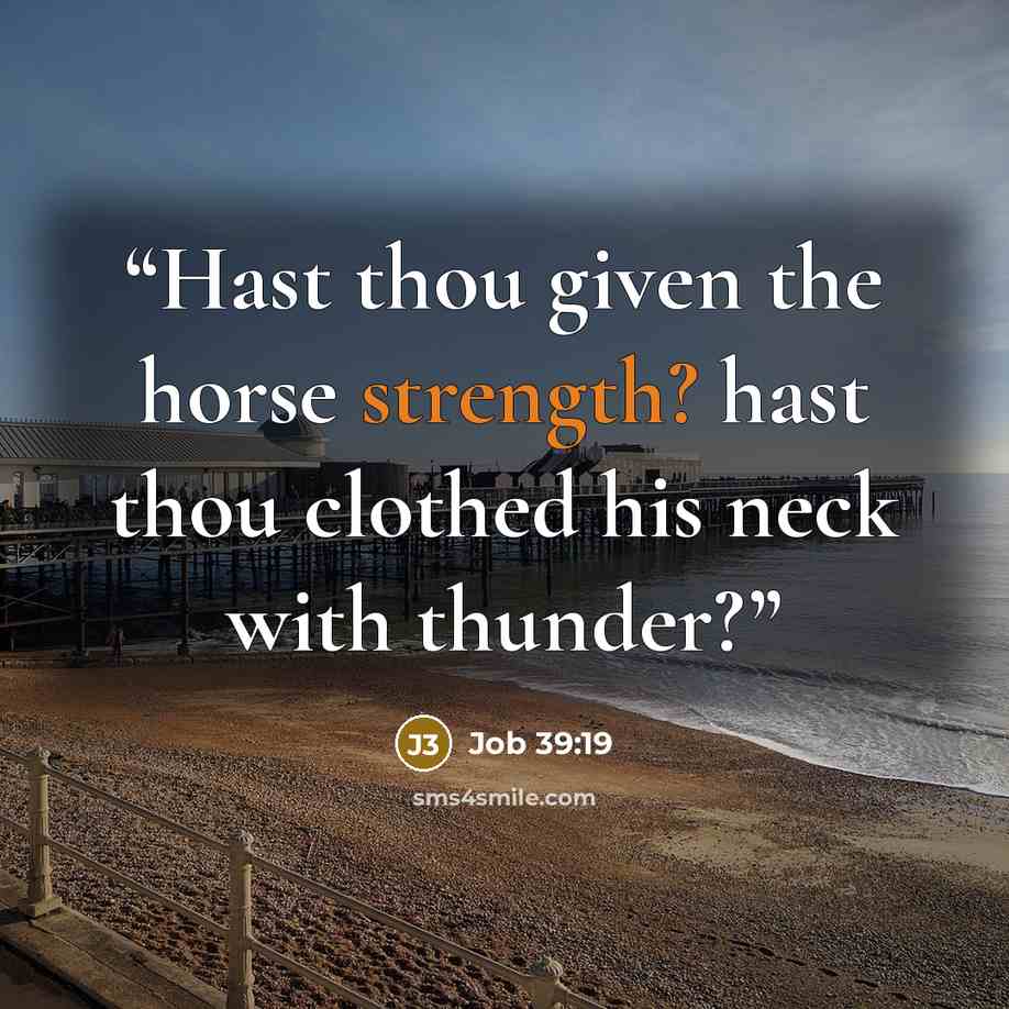 “Hast thou given the horse strength? hast thou clothed his neck with thunder?” quote by Job 39:19