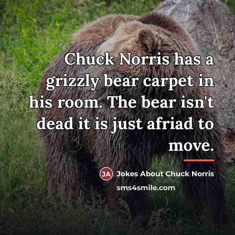 “Chuck Norris has a grizzly bear carpet in his room.…” quote by Jokes About Chuck Norris
