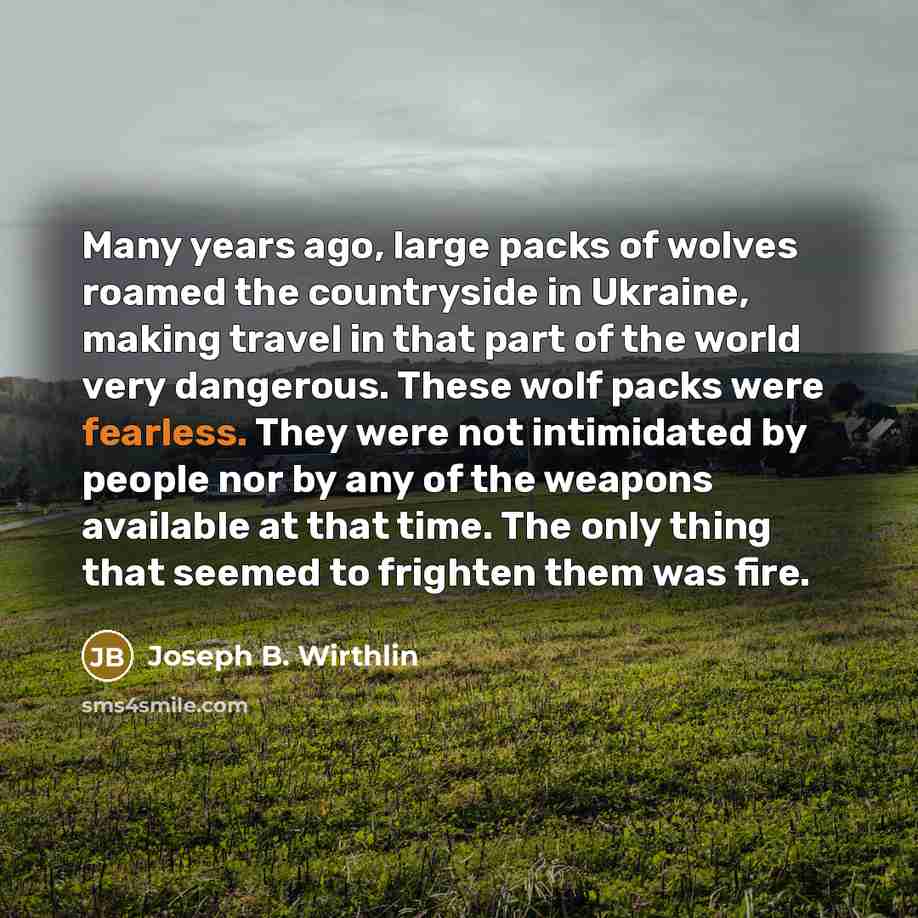“Many years ago, large packs of wolves roamed the countryside…” quote by Joseph B. Wirthlin