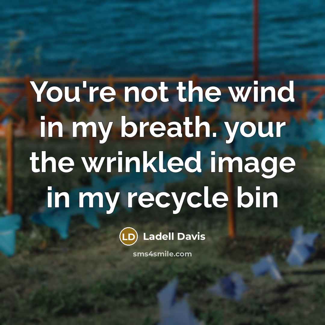 “You're not the wind in my breath. your the wrinkled image in my recycle bin” quote by Ladell Davis
