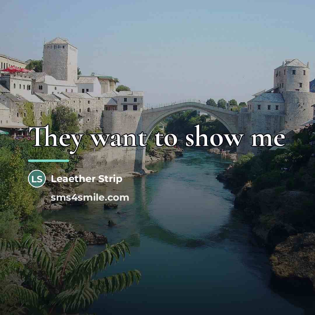“They want to show me…” quote by Leaether Strip