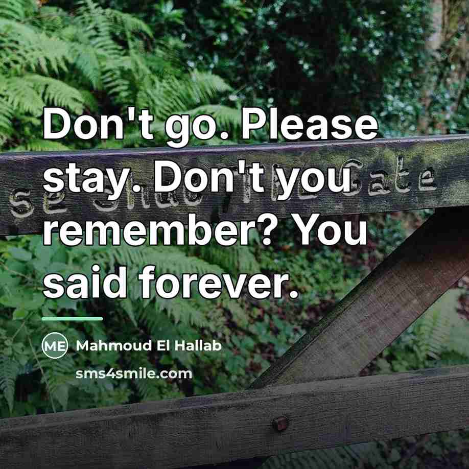 “Don't go. Please stay. Don't you remember? You said forever.…” quote by Mahmoud El Hallab