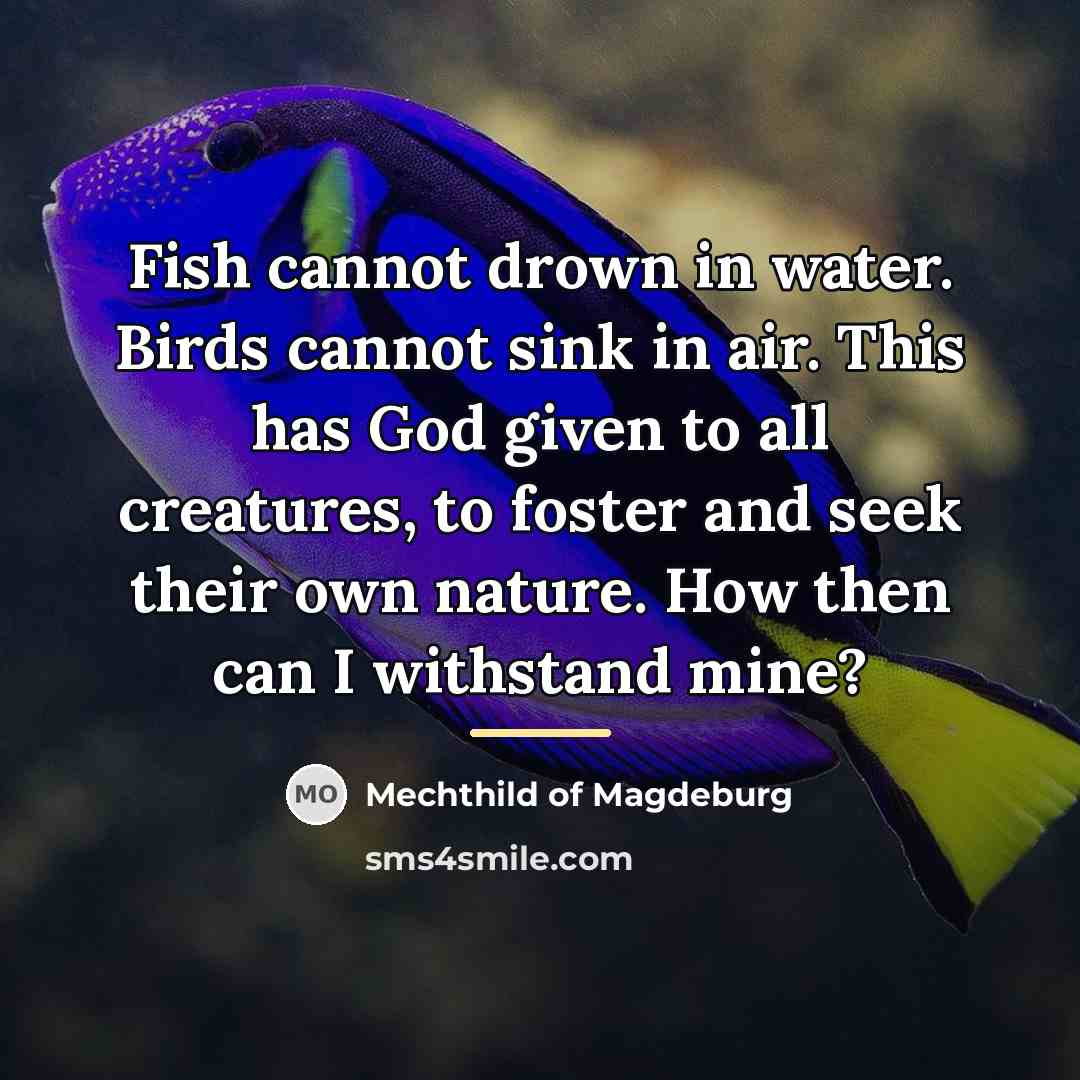 “Fish cannot drown in water. Birds cannot sink in air.…” quote by Mechthild of Magdeburg