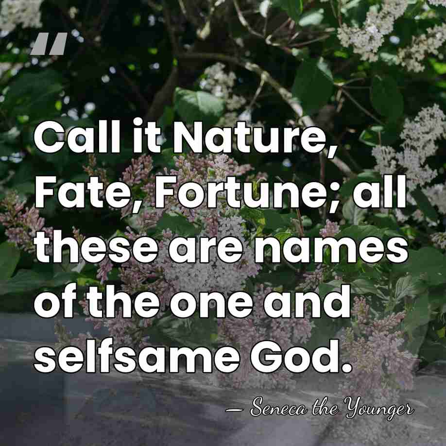 Call it Nature, Fate, Fortune; all these are names of the one&hellip; - Seneca the Younger