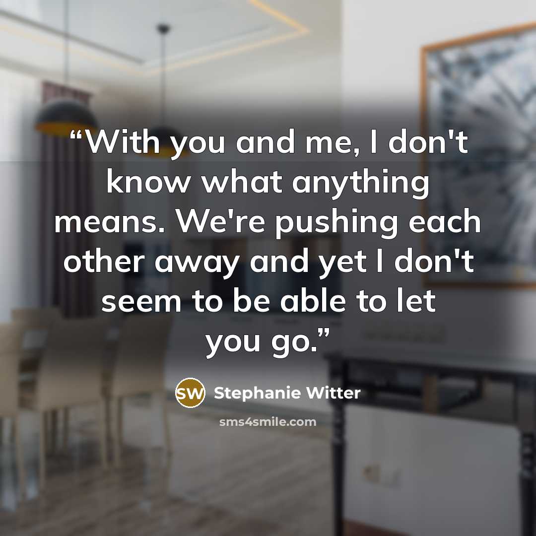 “With you and me, I don't know what anything means. We're pushing each other away and yet I don't seem to be able to let you go.” quote by Stephanie Witter