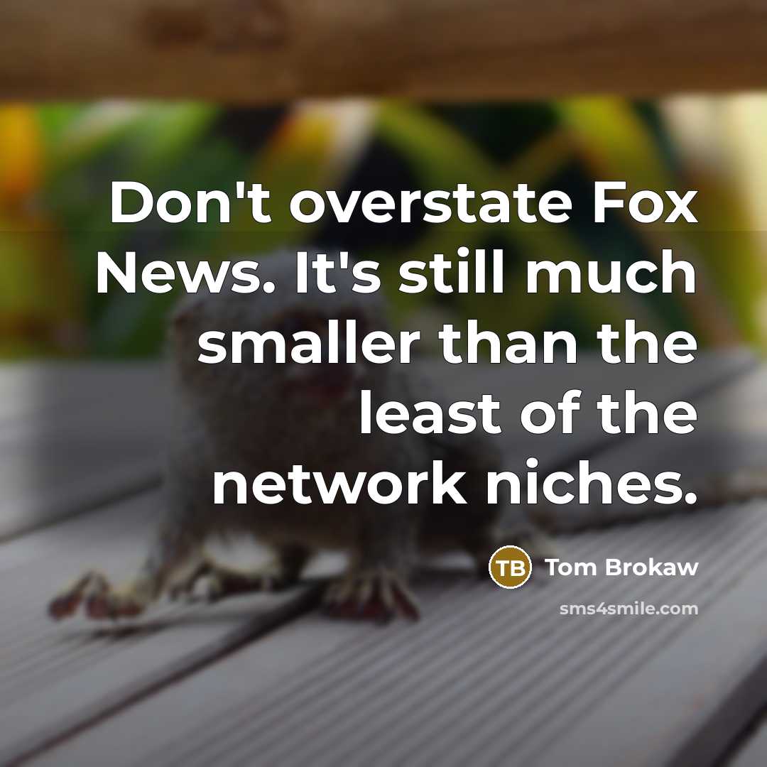 “Don't overstate Fox News. It's still much smaller than the…” quote by Tom Brokaw