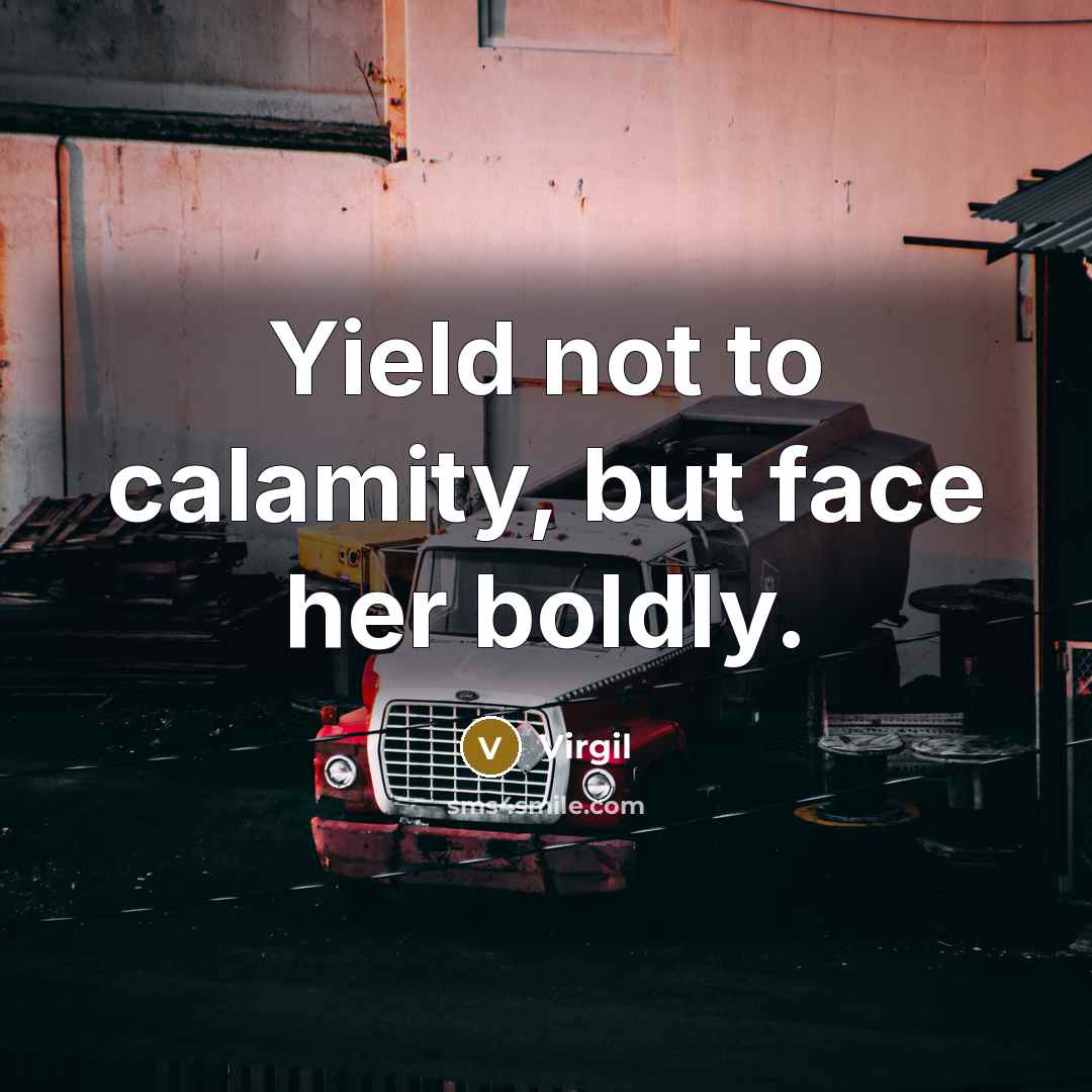 “Yield not to calamity, but face her boldly.…” quote by Virgil