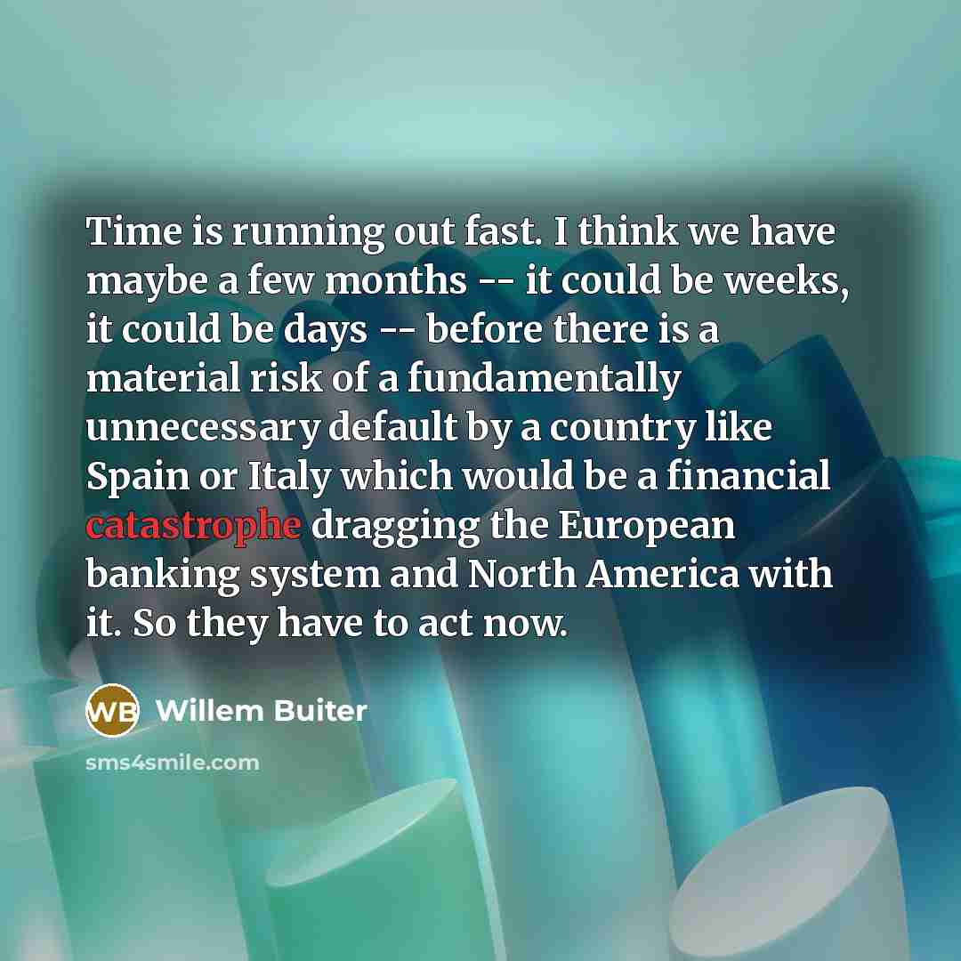 “Time is running out fast. I think we have maybe…” quote by Willem Buiter