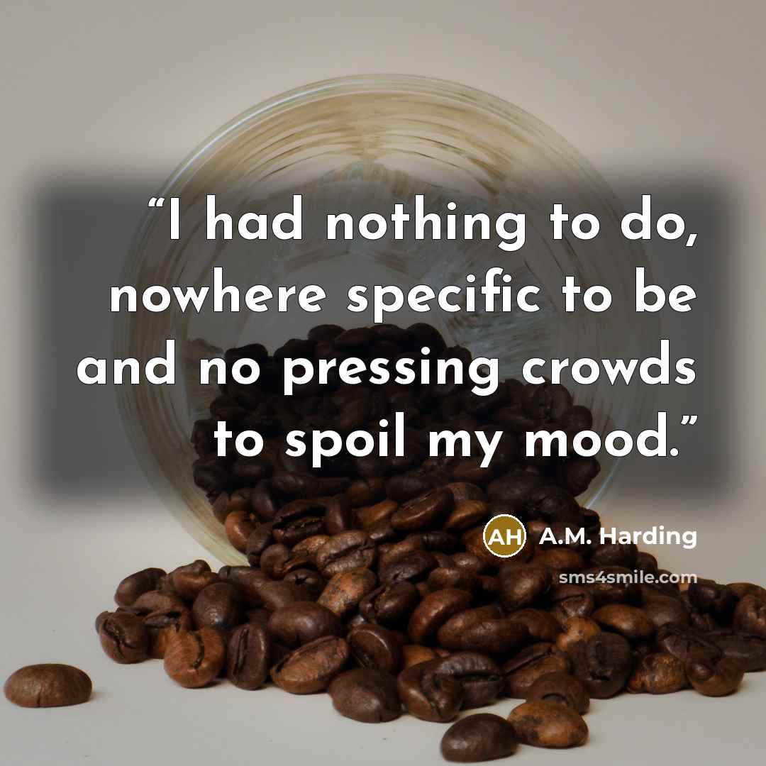 “I had nothing to do, nowhere specific to be and no pressing crowds to spoil my mood.” quote by A.M. Harding