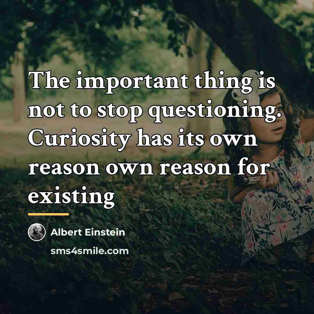 “The important thing is not to stop questioning. Curiosity has…” quote by Albert Einstein