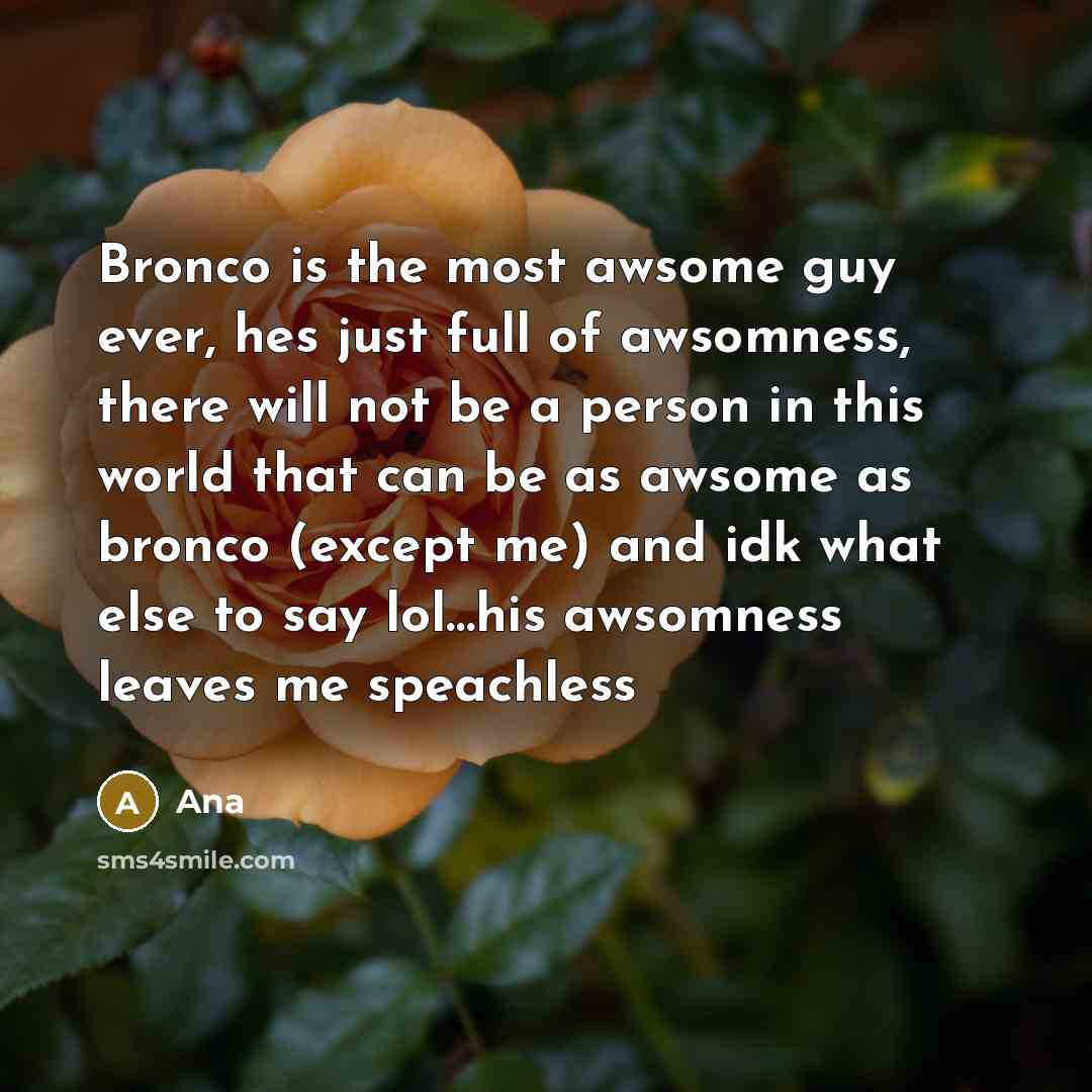 “Bronco is the most awsome guy ever, hes just full of awsomness, there will not be a person in this world that can be as awsome as bronco (except me) and idk what else to say lol…his awsomness leaves me speachless” quote by Ana