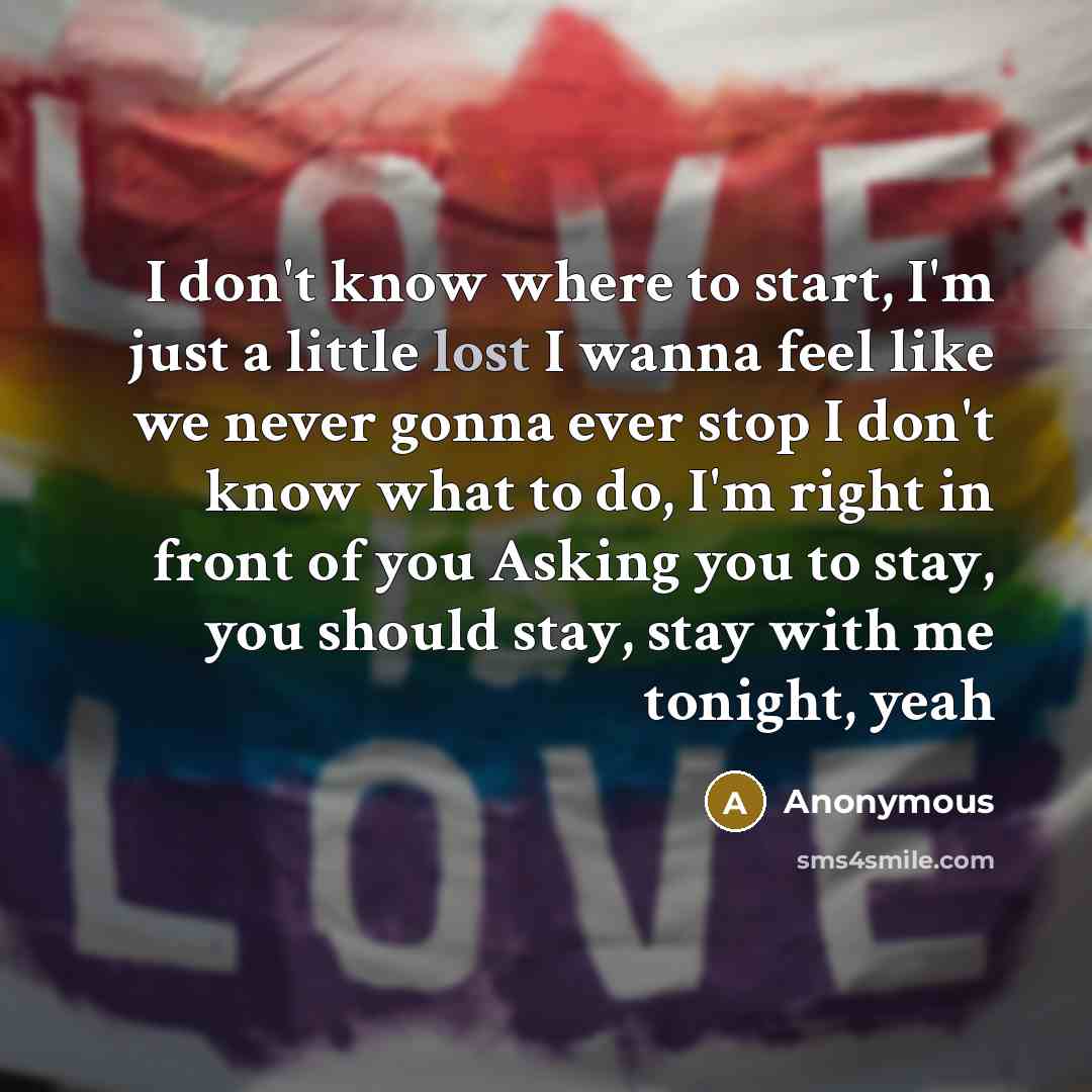 “I don't know where to start, I'm just a little lost I wanna feel like we never gonna ever stop I don't know what to do, I'm right in front of you Asking you to stay, you should stay, stay with me tonight, yeah” quote by Anonymous