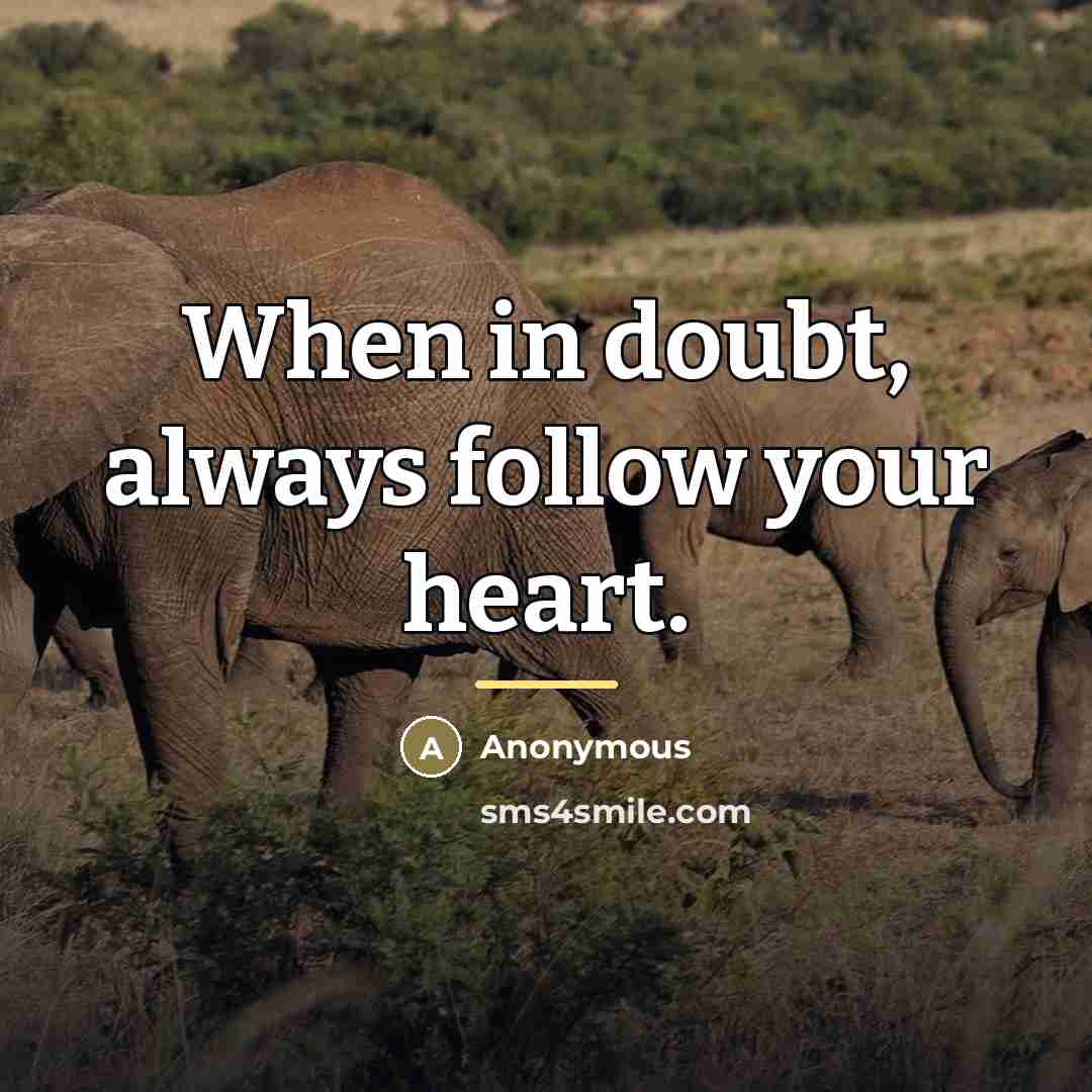 “When in doubt, always follow your heart.…” quote by Anonymous