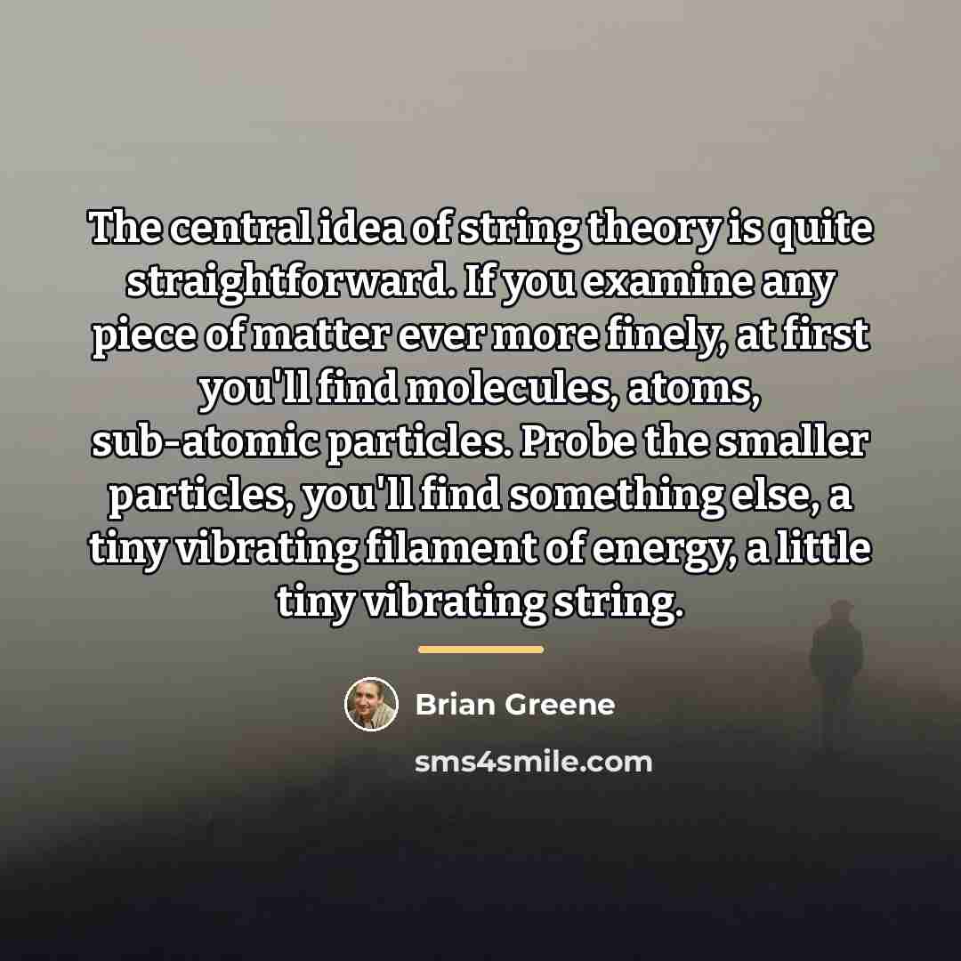 “The central idea of string theory is quite straightforward. If…” quote by Brian Greene