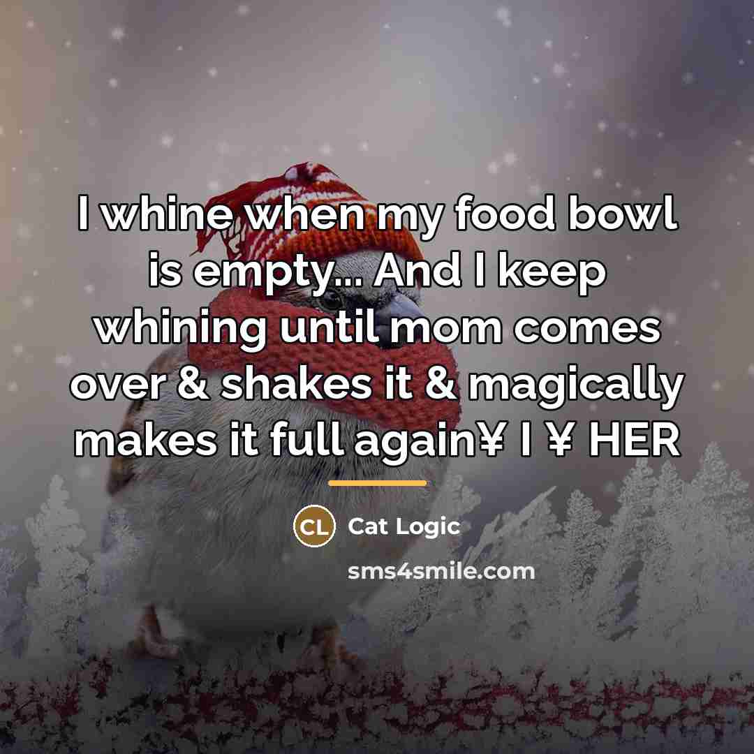 “I whine when my food bowl is empty... And I…” quote by Cat Logic