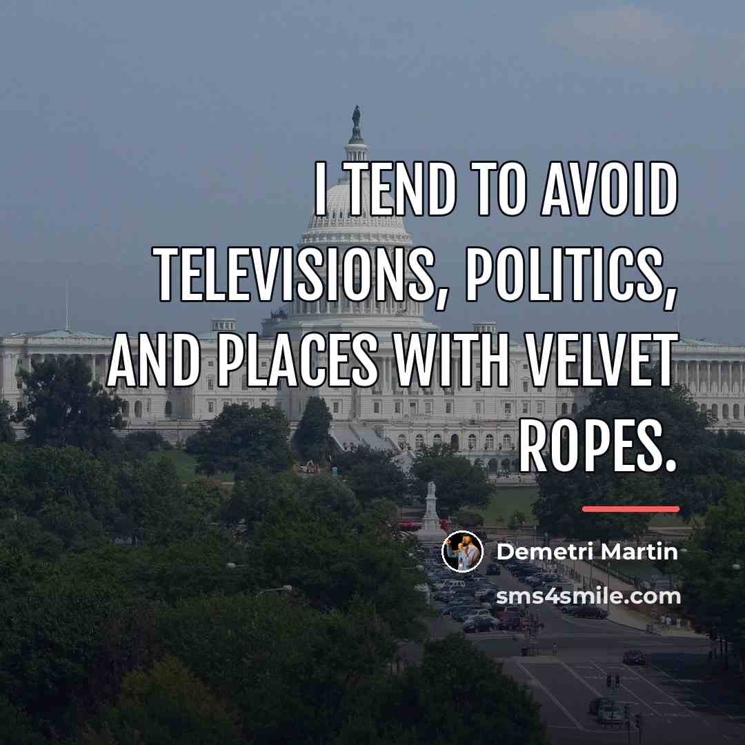 “I tend to avoid televisions, politics, and places with velvet…” quote by Demetri Martin