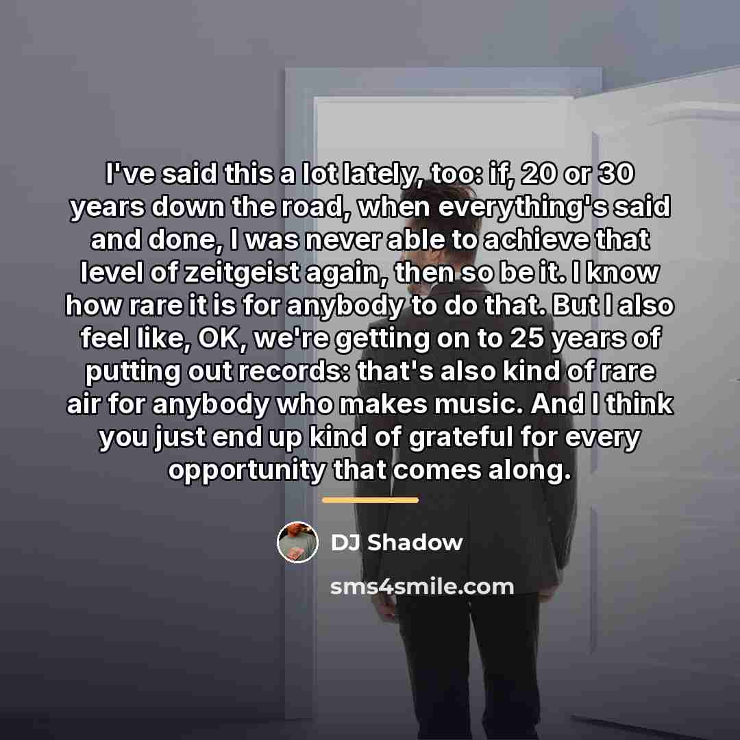 “I've said this a lot lately, too: if, 20 or…” quote by DJ Shadow