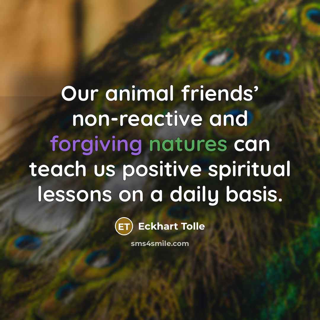 “Our animal friends’ non-reactive and forgiving natures can teach us…” quote by Eckhart Tolle