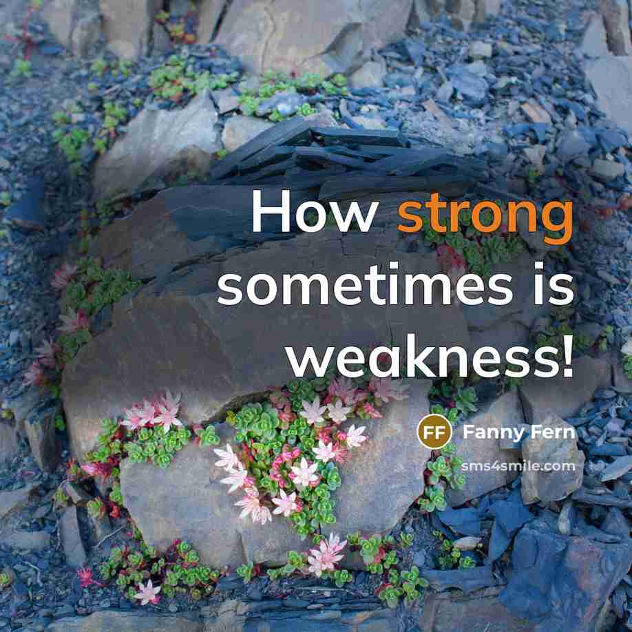 “How strong sometimes is weakness!…” quote by Fanny Fern