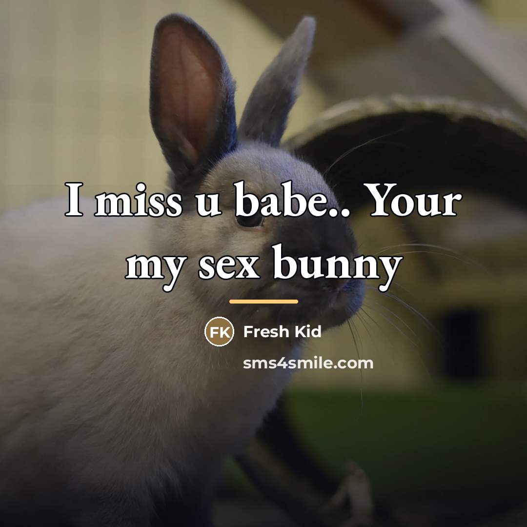 “I miss u babe.. Your my sex bunny…” quote by Fresh Kid