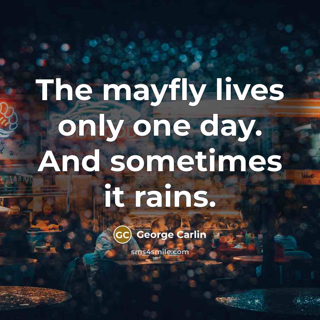 “The mayfly lives only one day. And sometimes it rains.…” quote by George Carlin