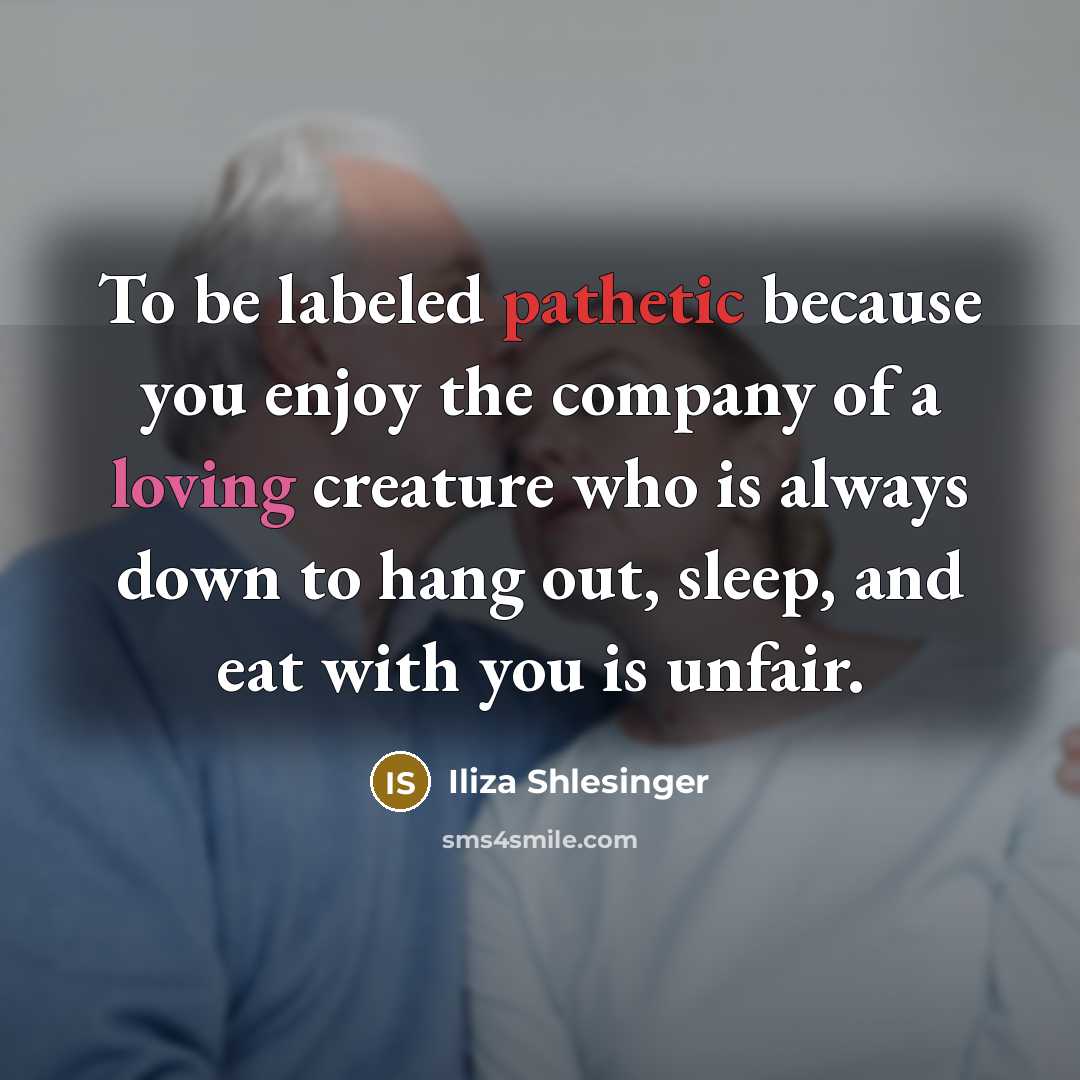 “To be labeled pathetic because you enjoy the company of…” quote by Iliza Shlesinger