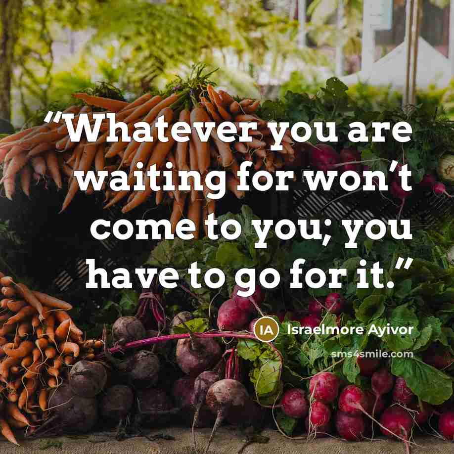 “Whatever you are waiting for won’t come to you; you have to go for it.” quote by Israelmore Ayivor