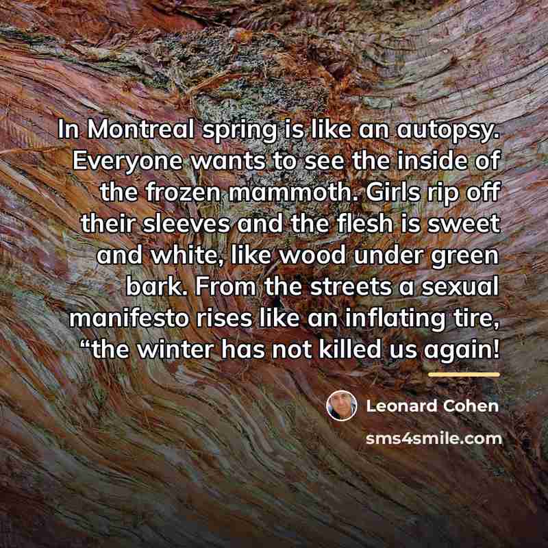 “In Montreal spring is like an autopsy. Everyone wants to…” quote by Leonard Cohen