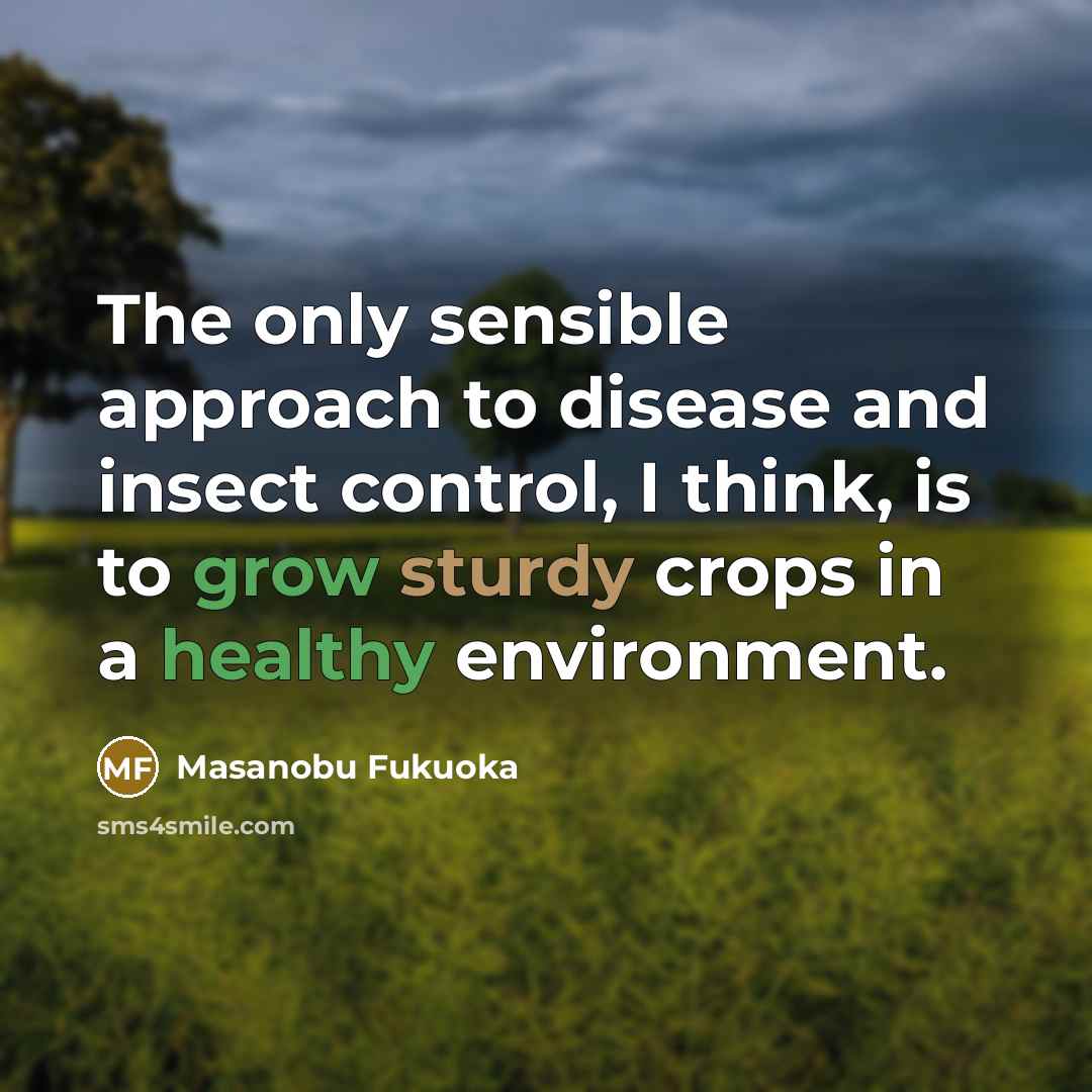 “The only sensible approach to disease and insect control, I think, is to grow sturdy crops in a healthy environment.” quote by Masanobu Fukuoka
