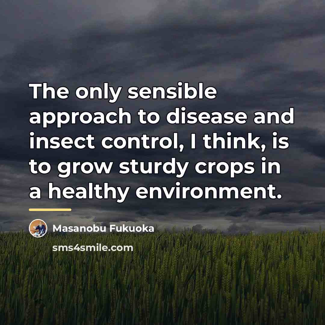 “The only sensible approach to disease and insect control, I…” quote by Masanobu Fukuoka