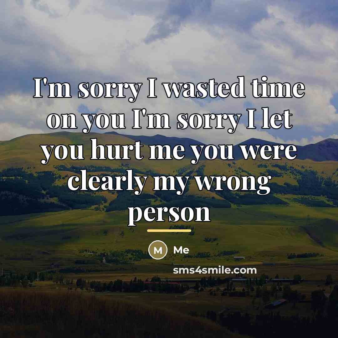 “I'm sorry I wasted time on you I'm sorry I…” quote by Me