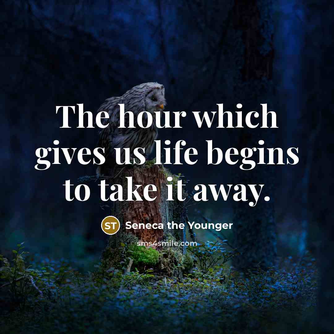 “The hour which gives us life begins to take it…” quote by Seneca the Younger