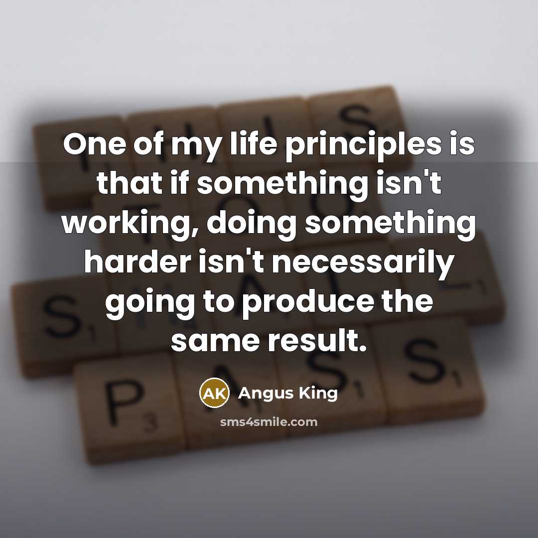 “One of my life principles is that if something isn't…” quote by Angus King