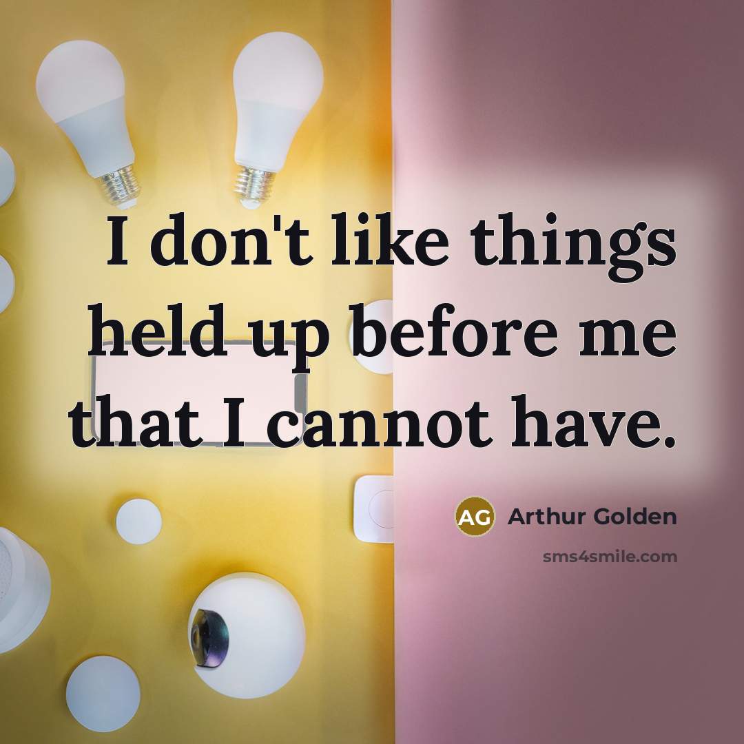 “I don't like things held up before me that I…” quote by Arthur Golden