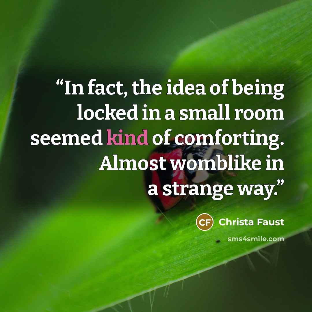 “In fact, the idea of being locked in a small room seemed kind of comforting. Almost womblike in a strange way.” quote by Christa Faust