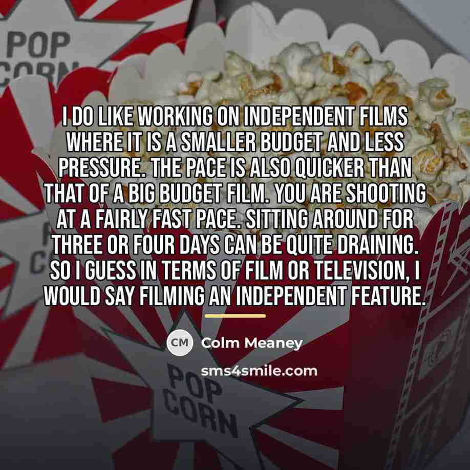“I do like working on independent films where it is…” quote by Colm Meaney