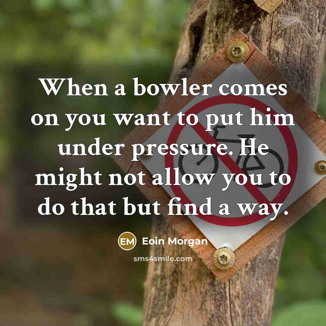 “When a bowler comes on you want to put him…” quote by Eoin Morgan