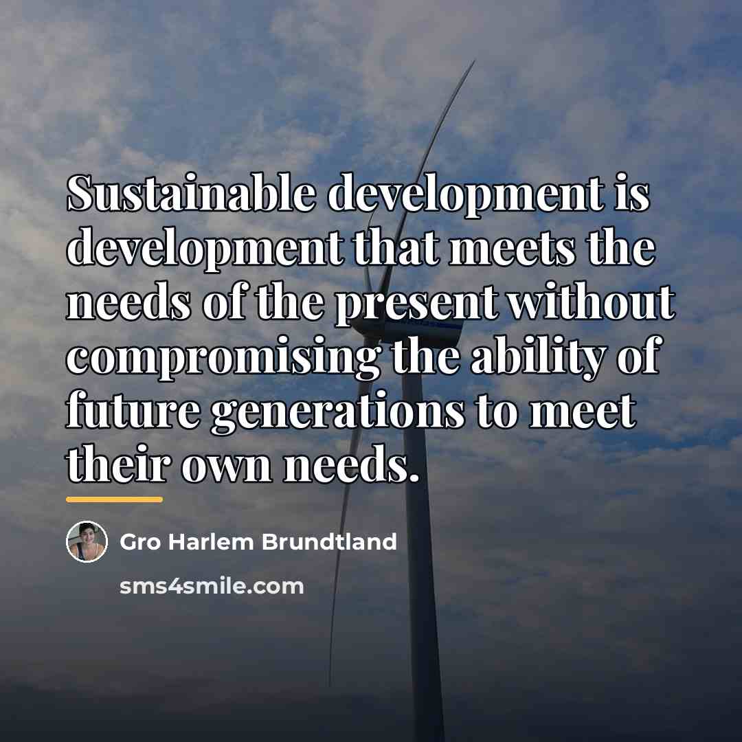 “Sustainable development is development that meets the needs of the…” quote by Gro Harlem Brundtland