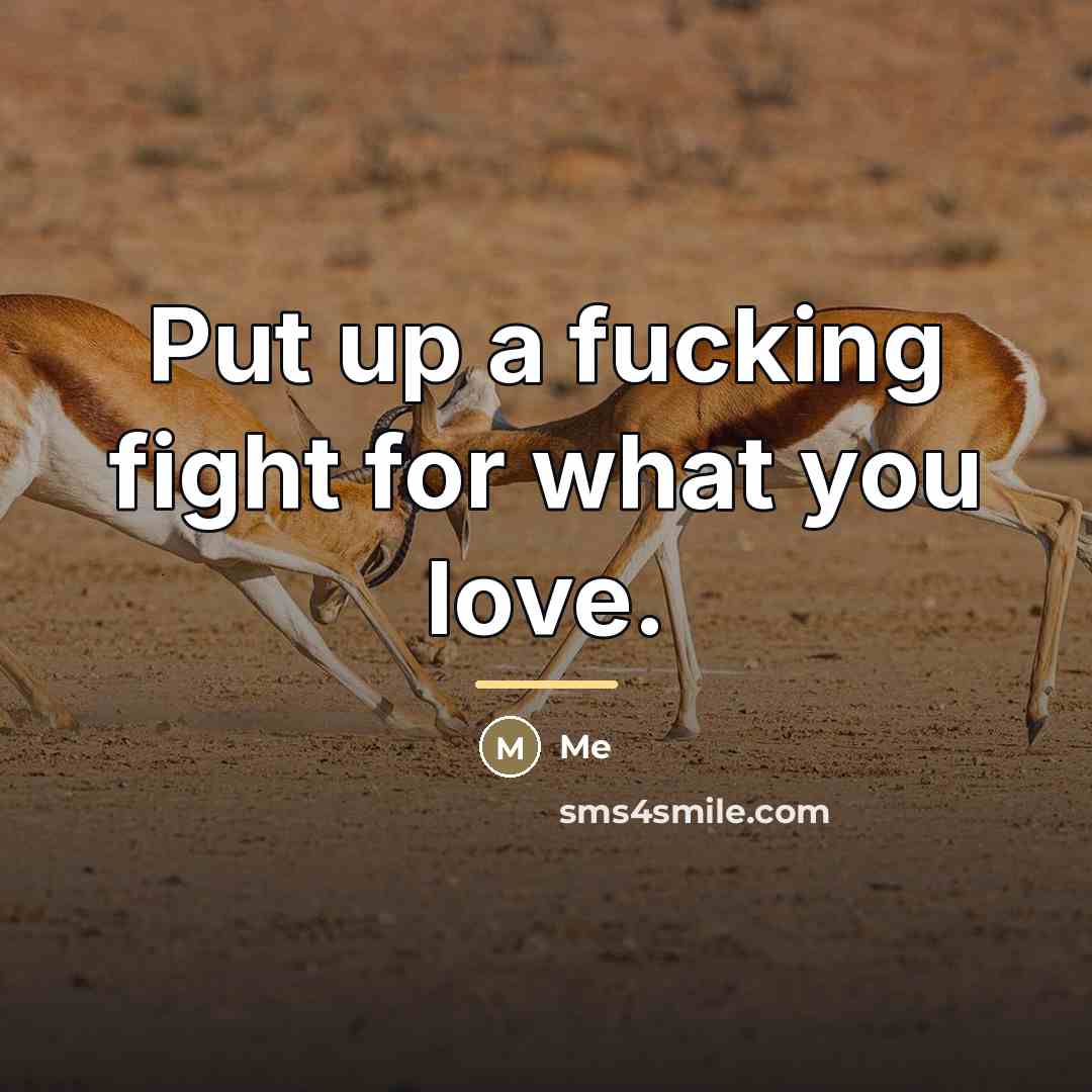 “Put up a fucking fight for what you love.…” quote by Me